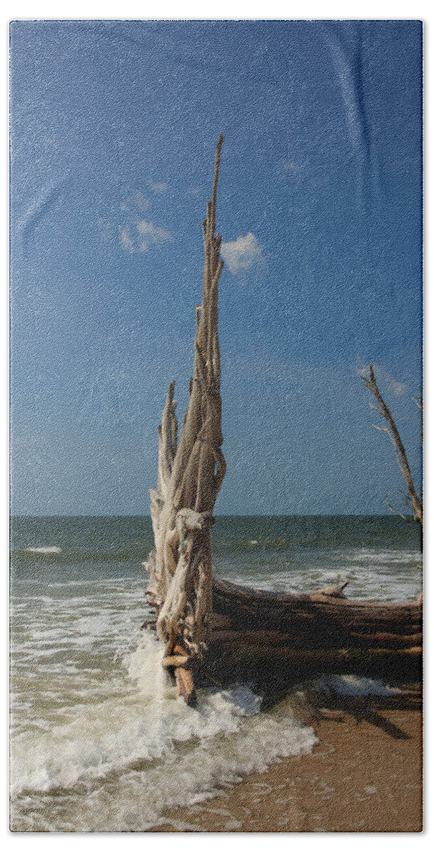 South Carolina Hand Towel featuring the photograph Beach Magic by Patricia Schaefer