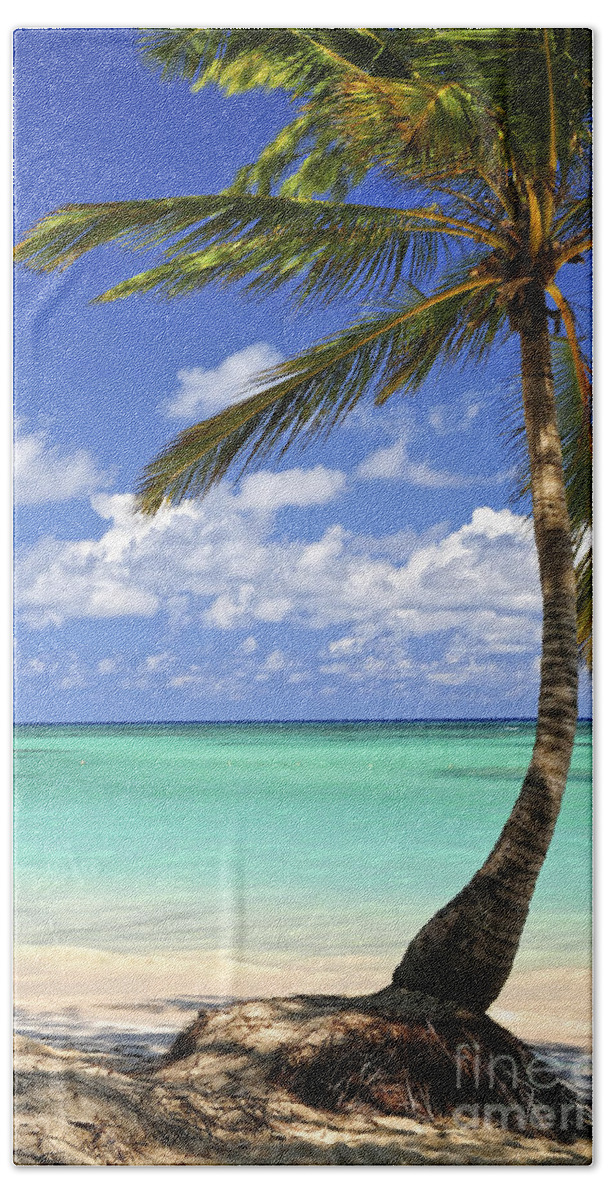 Beach Bath Towel featuring the photograph Beach of a tropical island by Elena Elisseeva