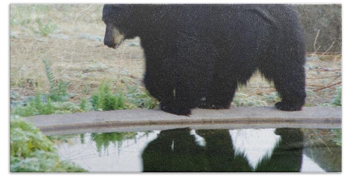 Lions Tigers And Bears Bath Towel featuring the photograph Bear 2 by Phyllis Spoor