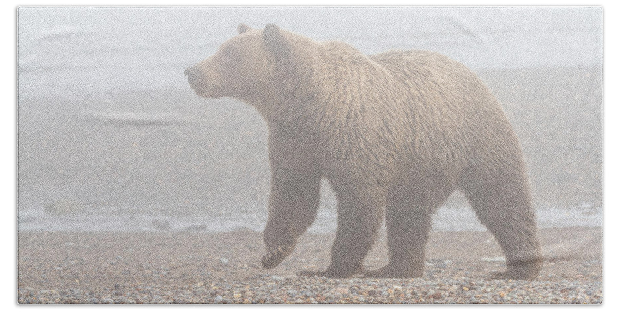 Bear Hand Towel featuring the photograph Bear in Fog by Chris Scroggins