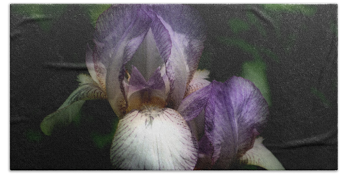 Iris Bath Towel featuring the photograph Bearded Iris Flower Pair by Smilin Eyes Treasures