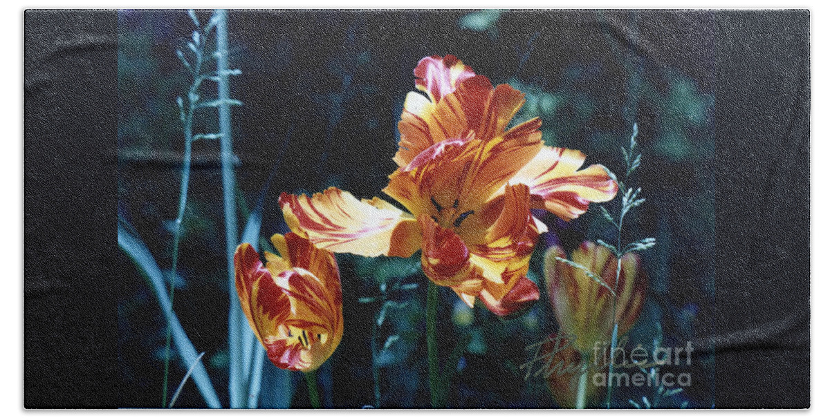 Gorgeous Bath Towel featuring the photograph Gorgeous Tulip by Phyllis Kaltenbach