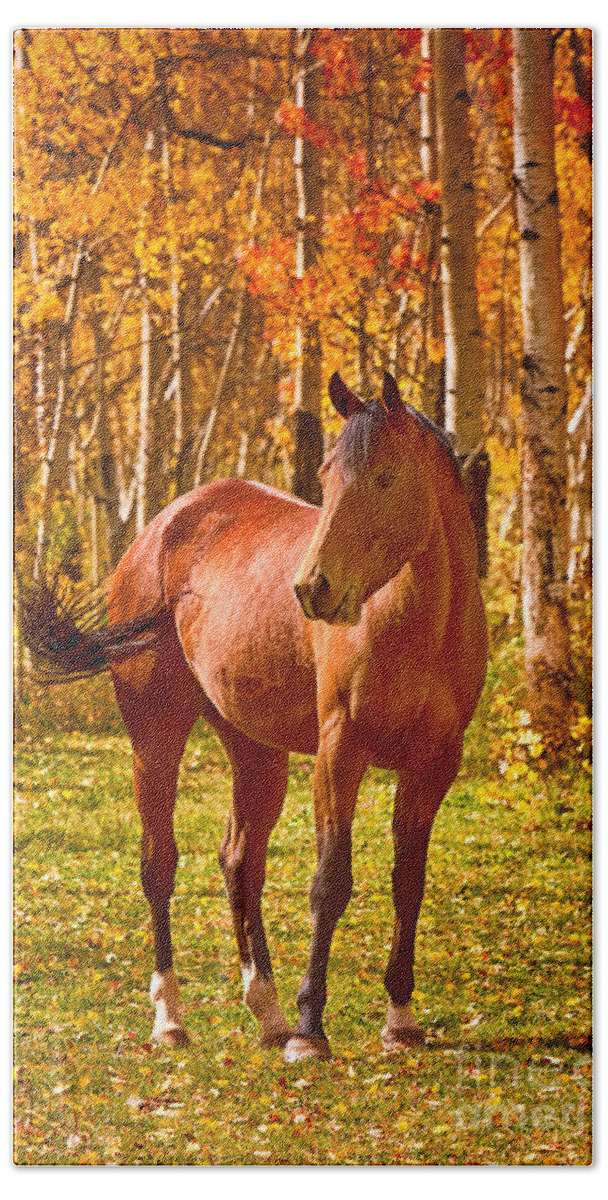 Horse Bath Towel featuring the photograph Beautiful Horse in the Autumn Aspen Colors by James BO Insogna
