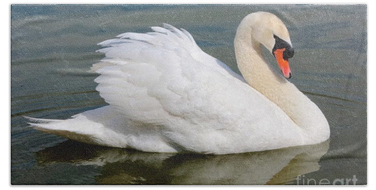 Swan Hand Towel featuring the photograph Beautiful Silky Swan by Carol Groenen