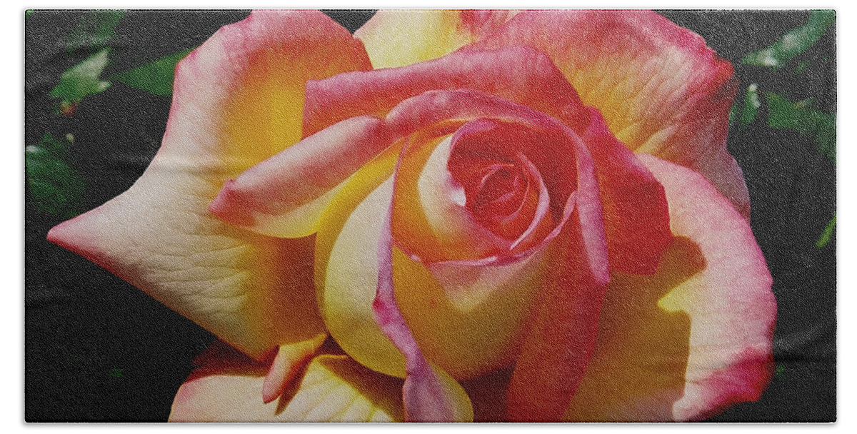 Rose Bath Towel featuring the photograph Beauty at its Best by Debby Pueschel