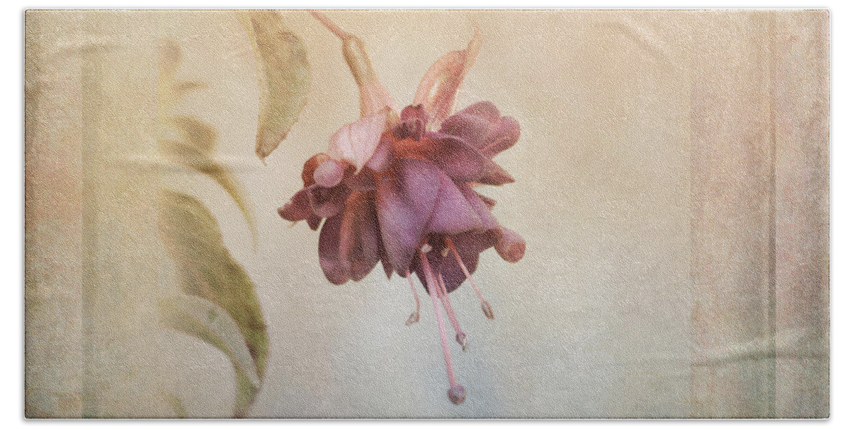 Fuschia Bath Towel featuring the photograph Beauty Fades Softly Framed by Sue Capuano