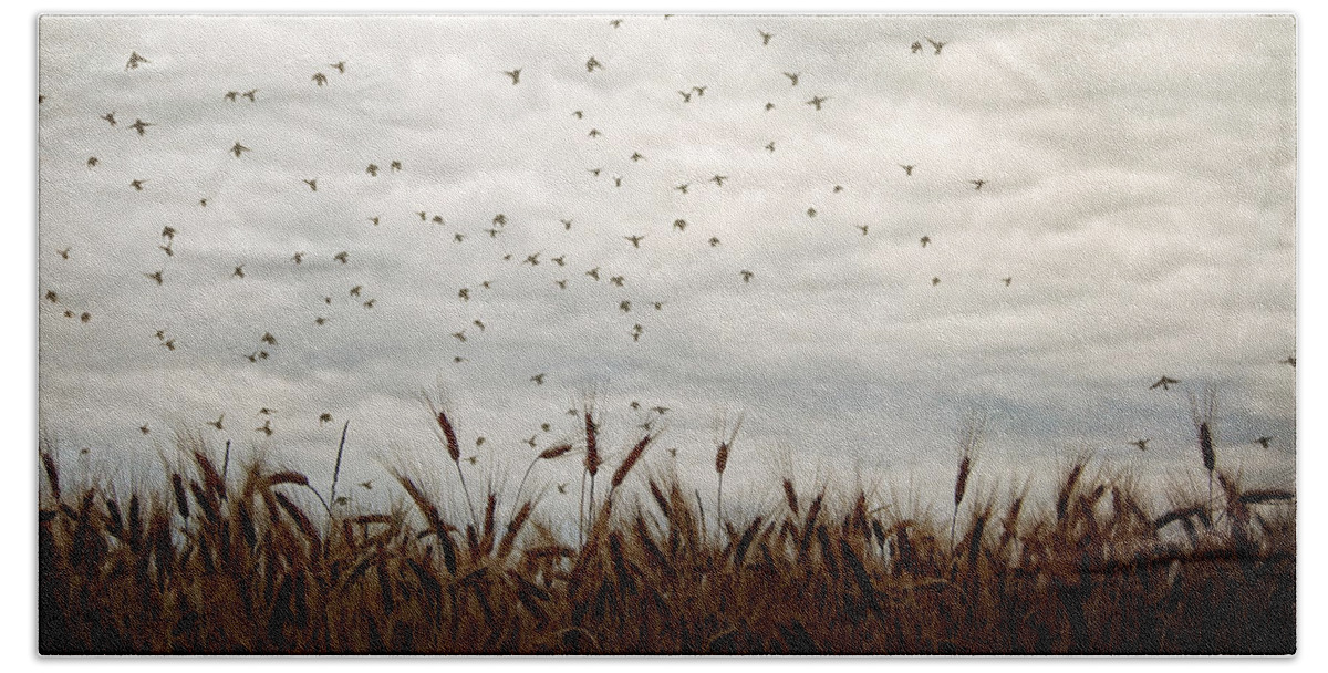 Blackbirds Bath Towel featuring the photograph Because of Them by Angie Rea