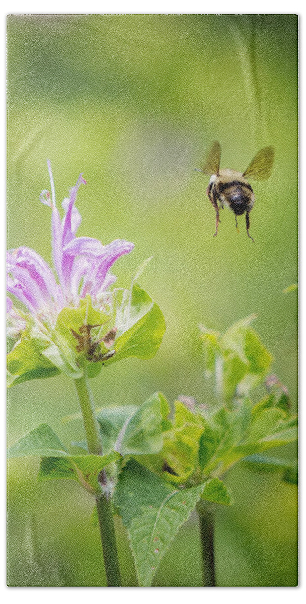 Bee Hand Towel featuring the photograph Bee Balm Bumble Bee by Bill Wakeley