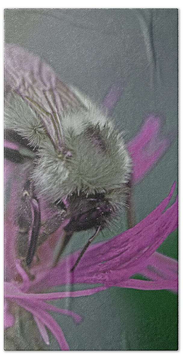 Insects Bath Towel featuring the photograph Bee Calm by Jennifer Robin