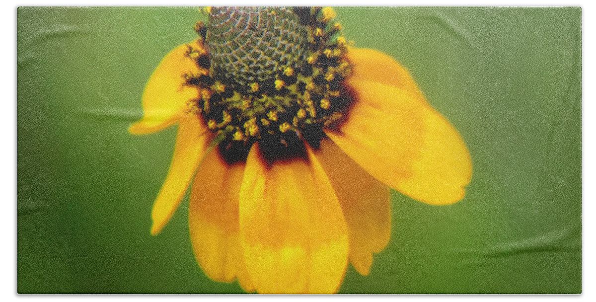 Bee Bath Towel featuring the photograph Bee My Coneflower by Lucy VanSwearingen