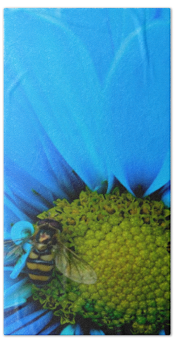 Oregon Bath Towel featuring the photograph Bee on blue daisy by Gallery Of Hope 