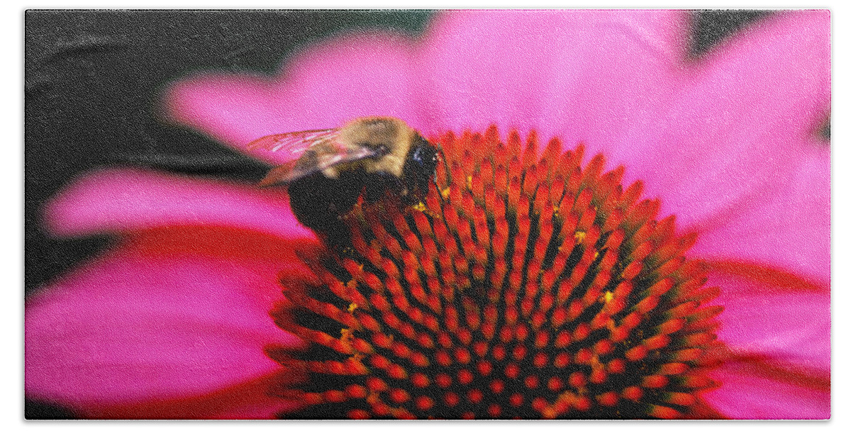 Floral Bath Towel featuring the photograph Bee on flower by Matt Swinden
