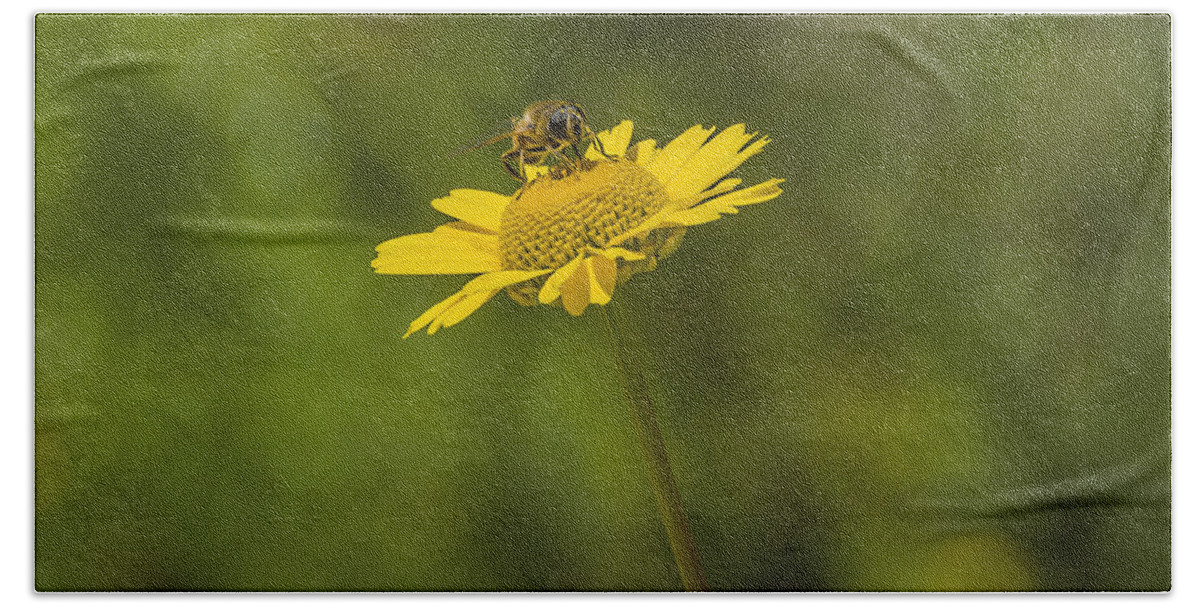 Insect Bath Towel featuring the photograph Bee on flower by Paulo Goncalves