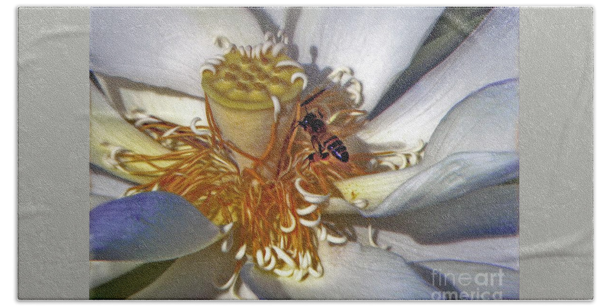 Bee Bath Towel featuring the photograph Bee On Lotus by Savannah Gibbs