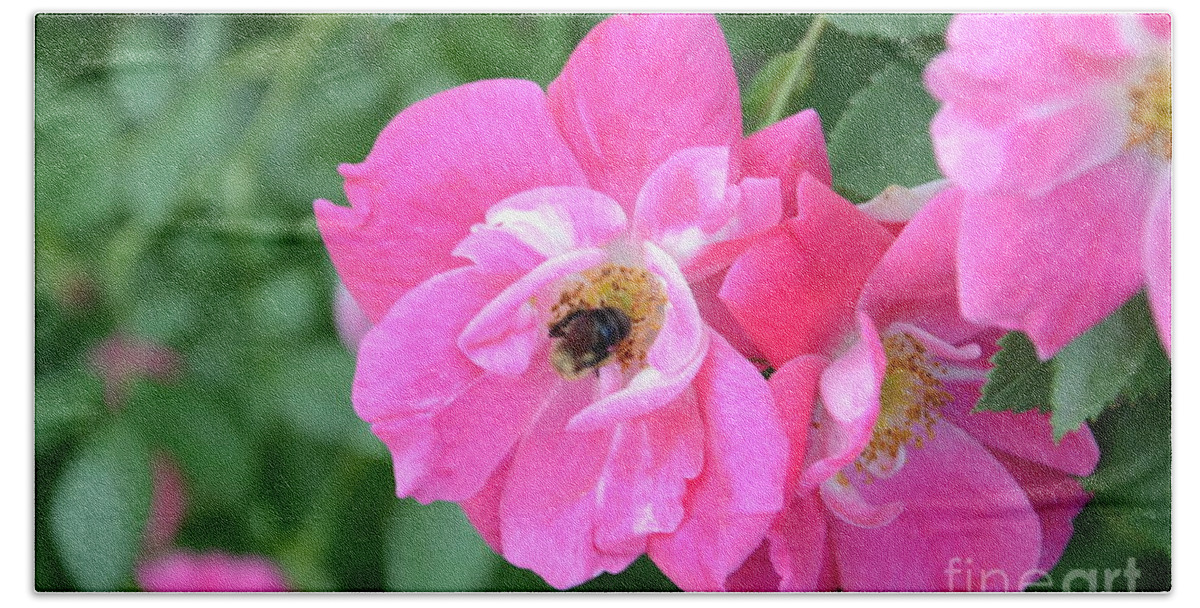 Bee Bath Towel featuring the photograph Bee Rosy by Laurel Best