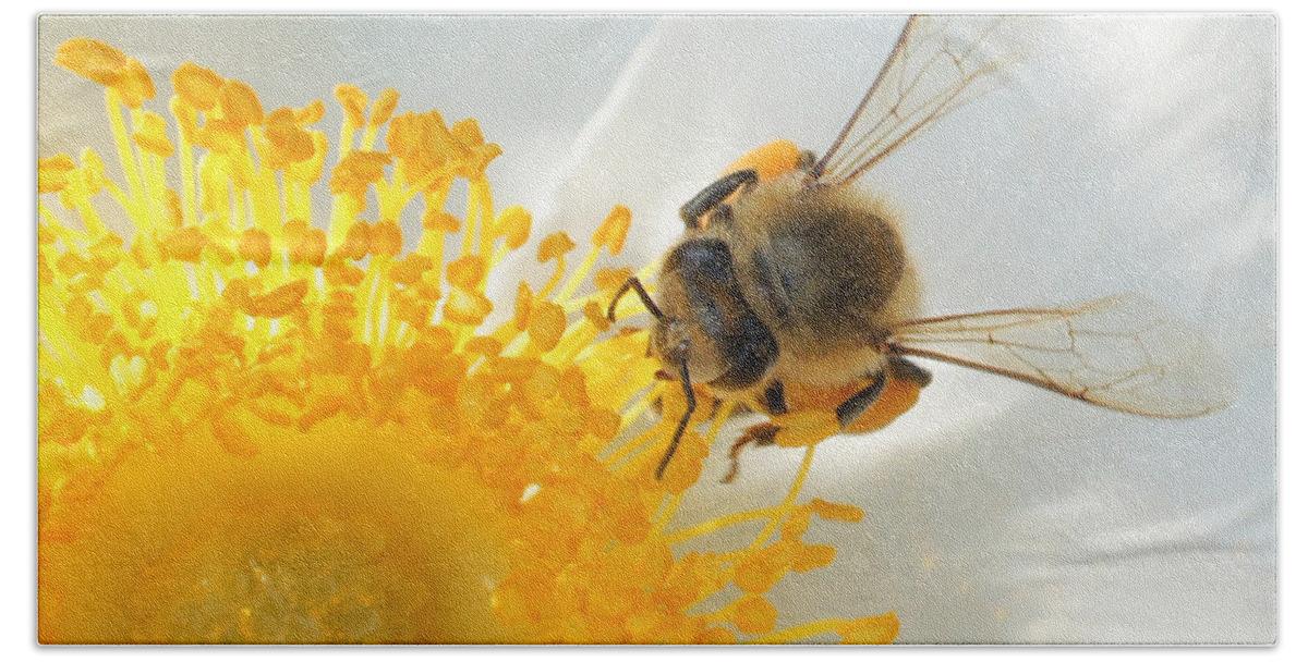 Bee Hand Towel featuring the photograph Bee-U-tiful by TK Goforth