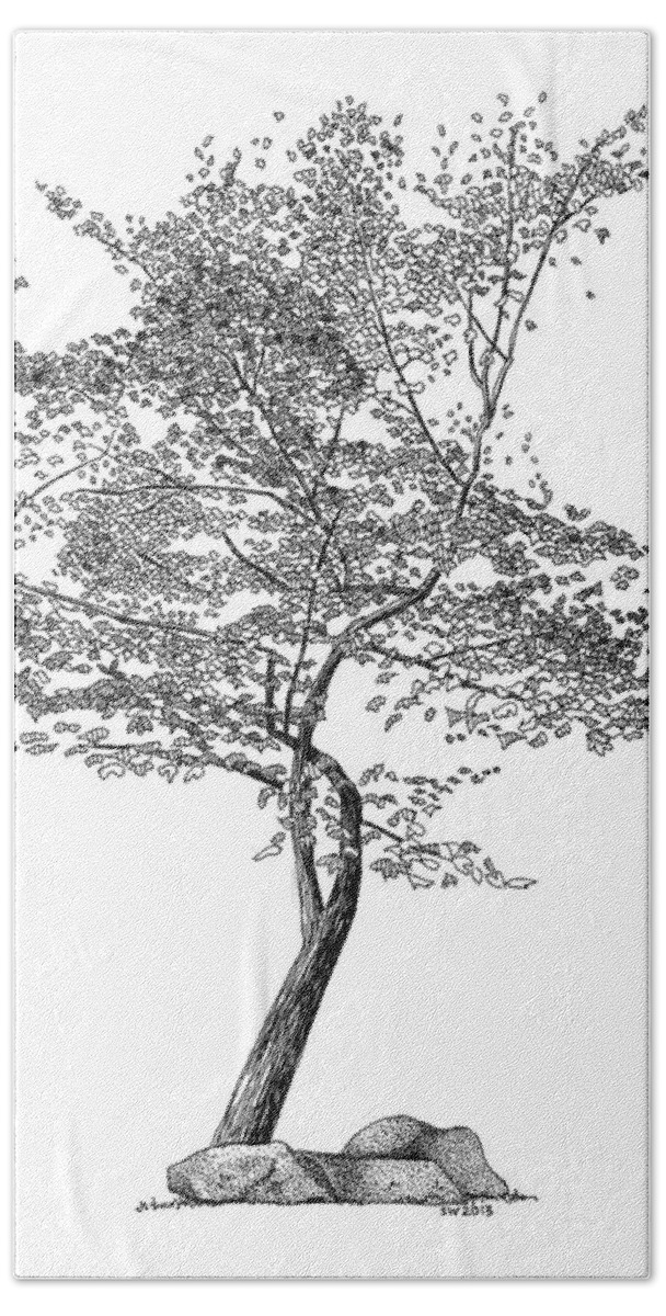 Beech Tree Rapidograph Pen Ink Hand Towel featuring the drawing Beech Tree by Scott Woyak