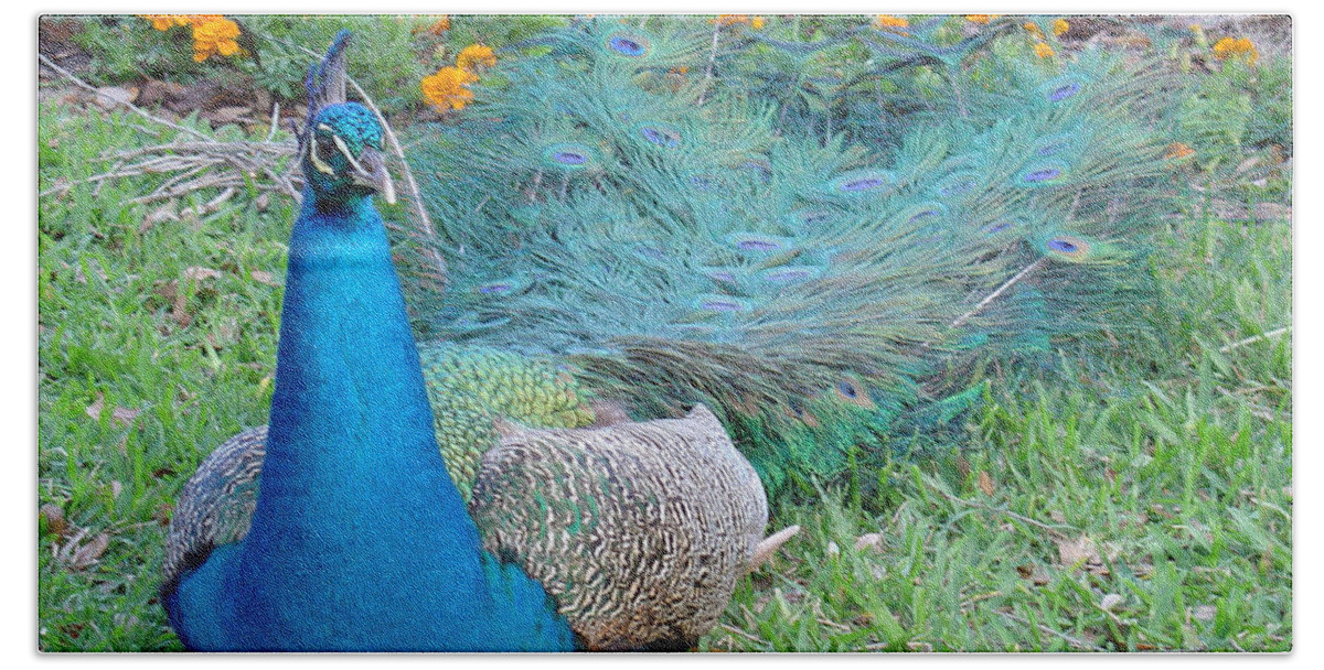 Peacock Hand Towel featuring the photograph Bejeweled by David Nicholls