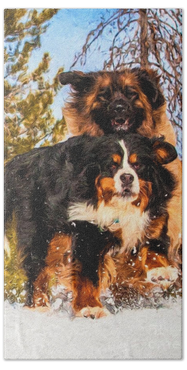 Bernese Mountain Dog Hand Towel featuring the photograph Bernese Mountain Dog and Leonberger Winter Fun by Gary Whitton