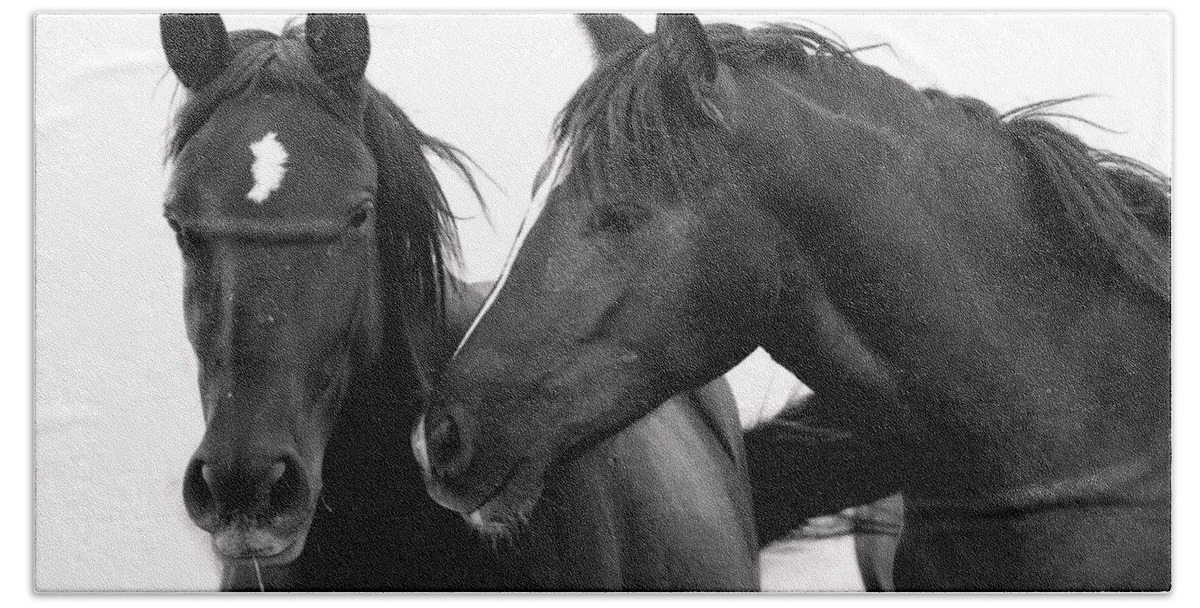 Wild Mustangs Bath Towel featuring the photograph Best Buds Wild Mustangs by Rich Franco