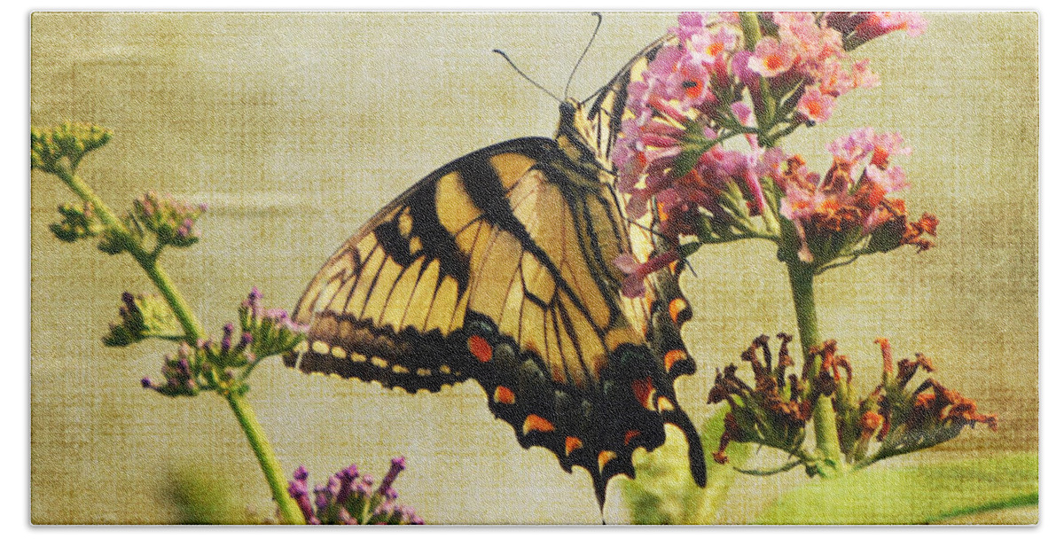 Butterfly Hand Towel featuring the photograph Best View by Judy Wolinsky