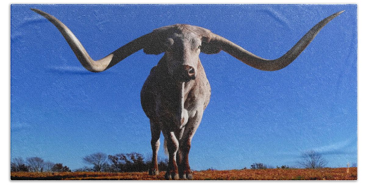 Texas Long Horn Hand Towel featuring the photograph Big Moe by Stuart Harrison