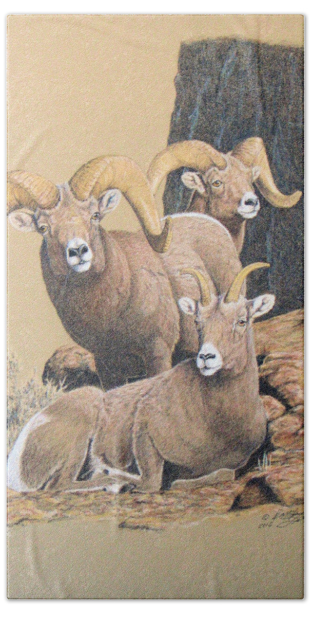 Bighorn Bath Towel featuring the painting Bighorn Sheep by Darcy Tate