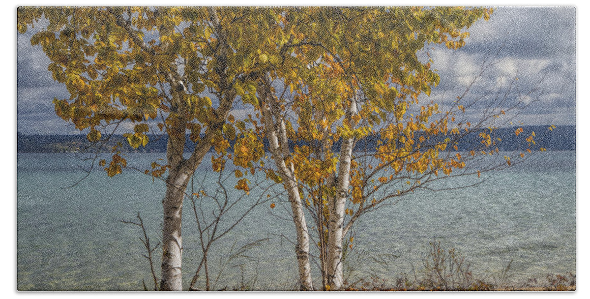 Art Bath Towel featuring the photograph Birch Trees along the shore of Crystal Lake by Randall Nyhof