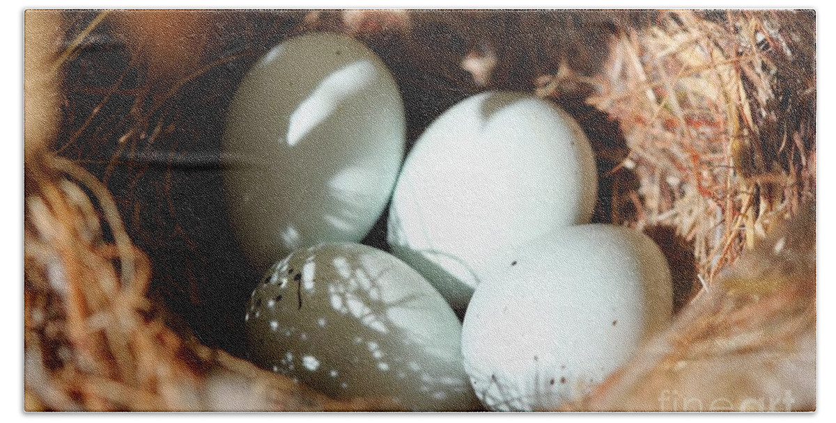 Nest Hand Towel featuring the photograph Bird Eggs by Henrik Lehnerer