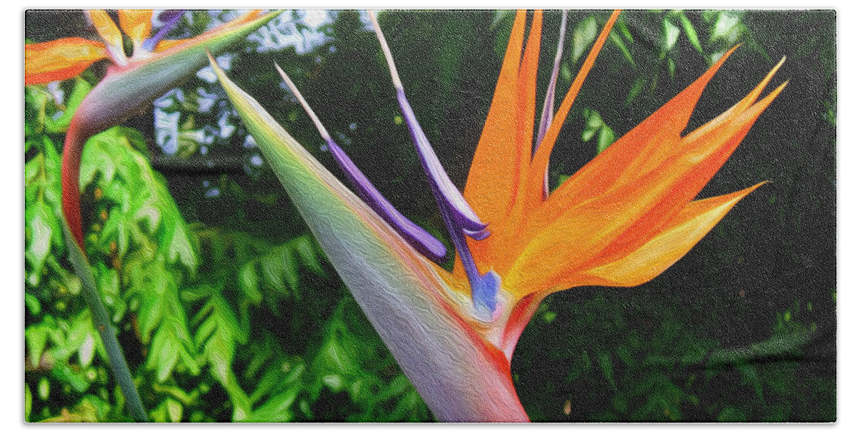Floral Bath Towel featuring the photograph Bird Of Paradise by Kathy Bassett