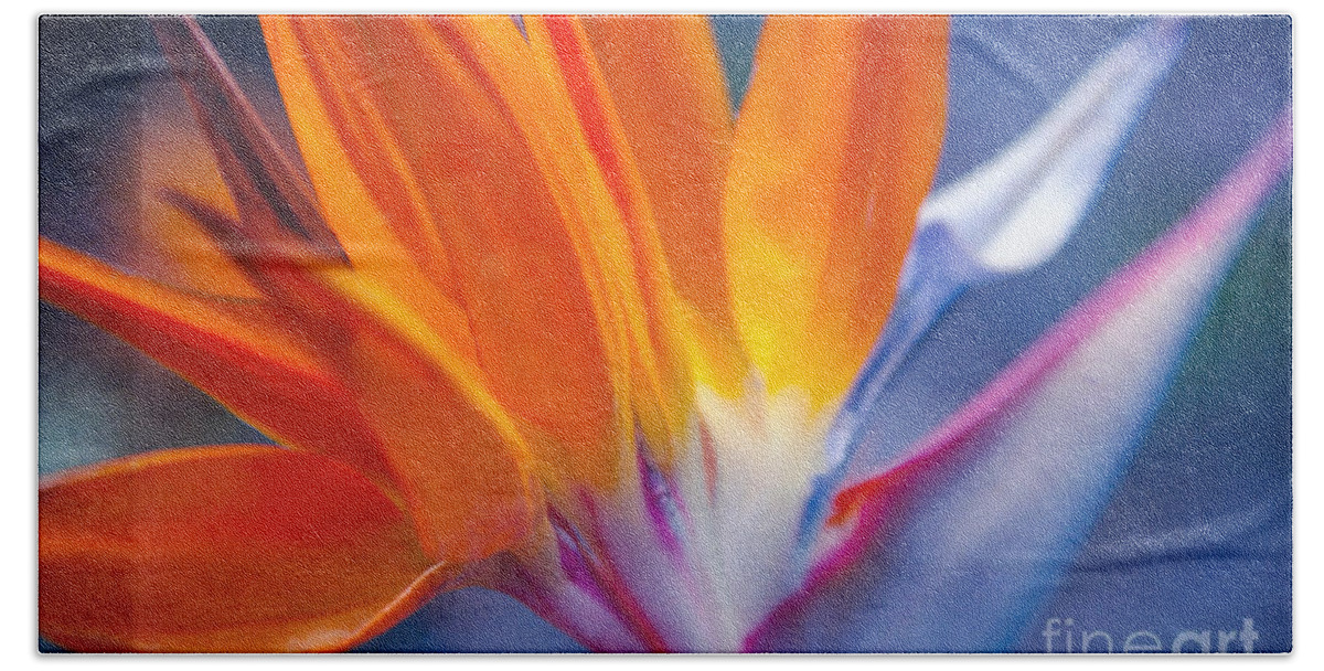 Aloha Bath Towel featuring the photograph Bird of Paradise - Strelitzia reginae - Crane Flower Maui Hawaii by Sharon Mau