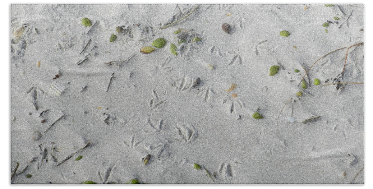 Seashore Hand Towel featuring the photograph Bird Tracks by Deborah Ferree