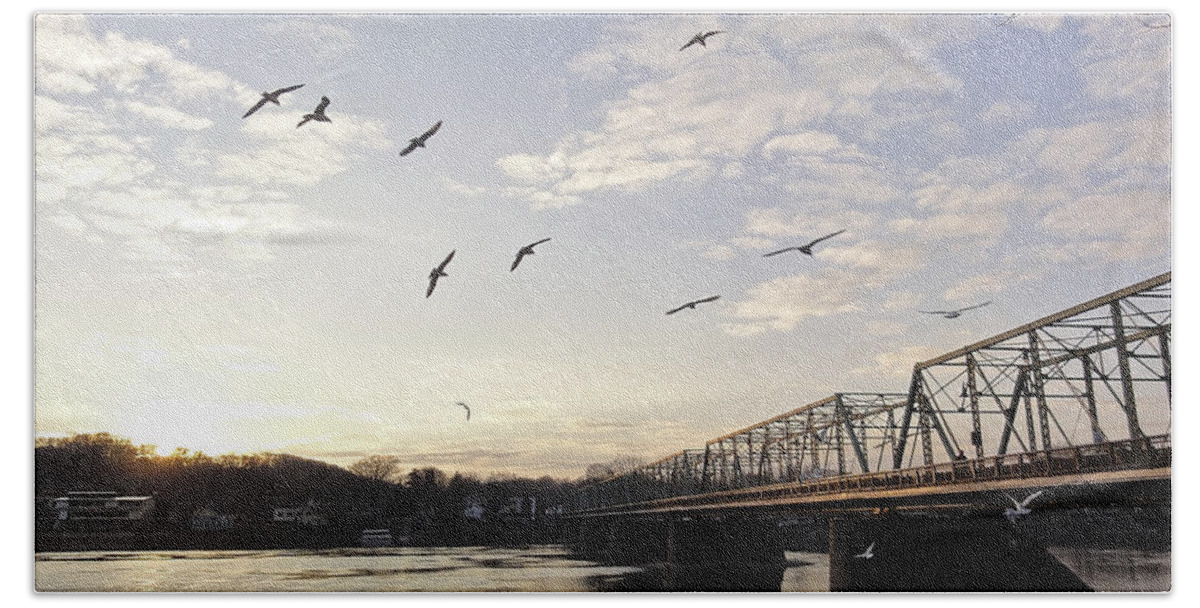 Birds Hand Towel featuring the photograph Birds and Bridges by Christopher Plummer