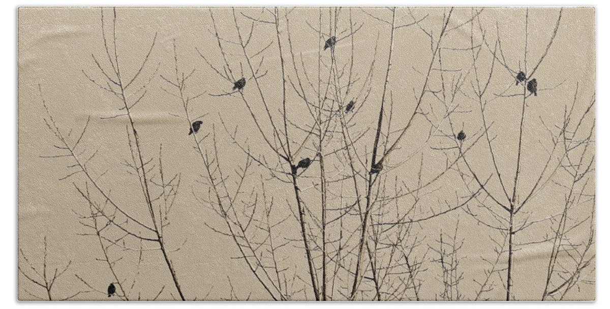 Sepia Hand Towel featuring the photograph Birds Gather by Michael Saunders
