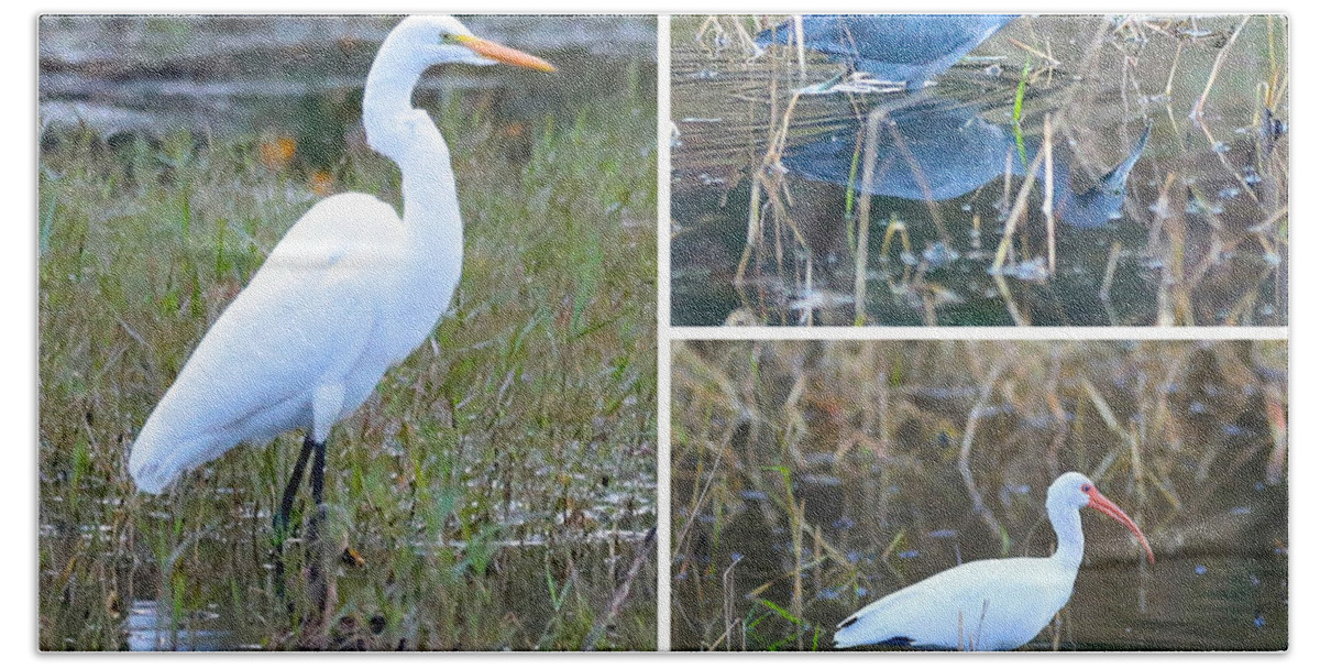 Great Egret Hand Towel featuring the photograph Birds on Pond Collage by Carol Groenen