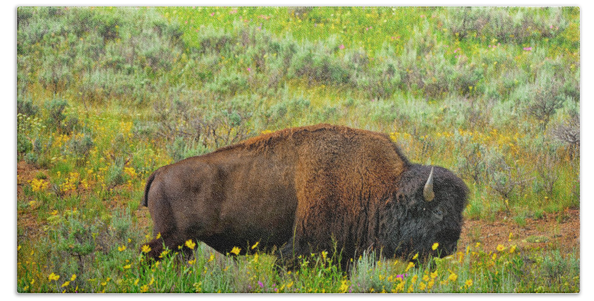 Bison Bath Sheet featuring the photograph Bison Amid Wildflowers by Greg Norrell