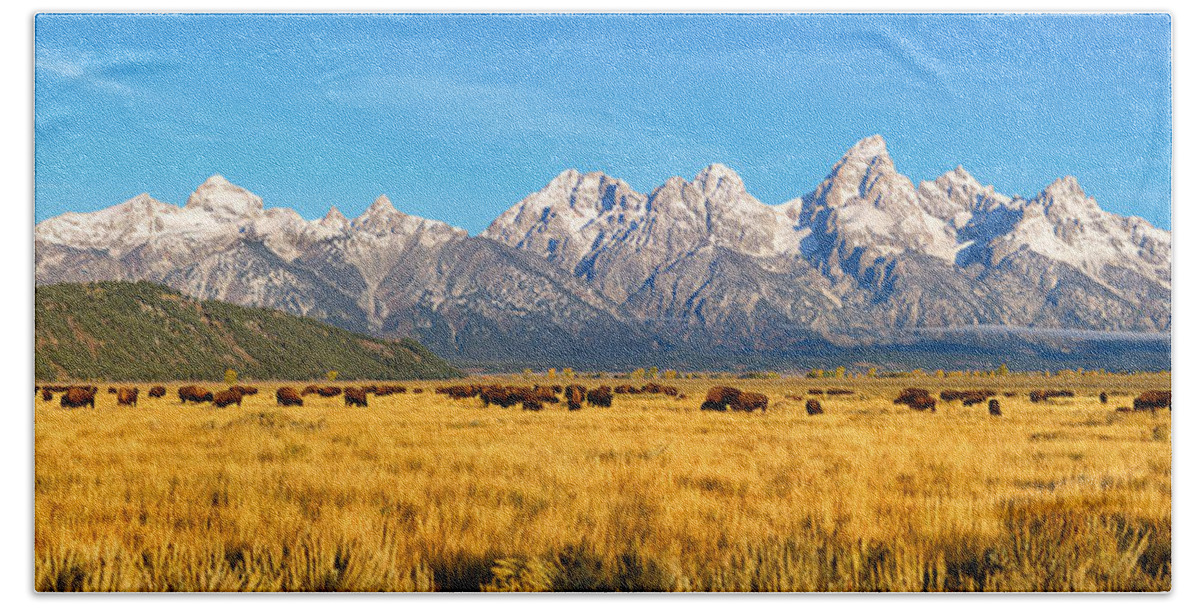 Tetons Hand Towel featuring the photograph Bison Beneath the Tetons Limited Edition Panorama by Greg Norrell