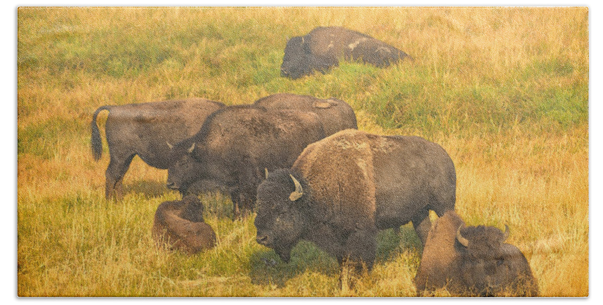 Bison Bath Towel featuring the photograph Bison Family by Greg Norrell