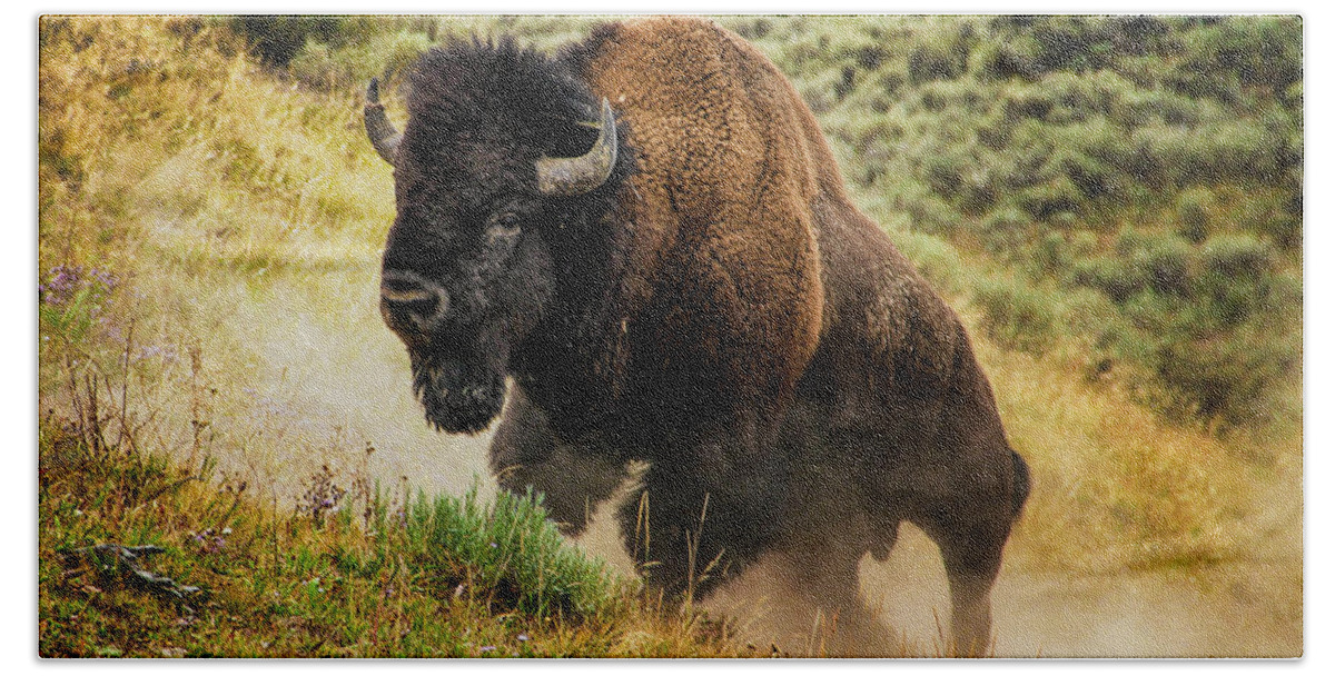 Yellowstone Bath Sheet featuring the photograph Bison in Yellowstone by Juli Ellen