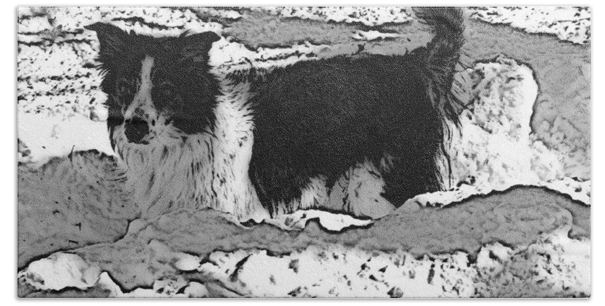 Dog Bath Towel featuring the photograph Black and White in Snow by Michael Porchik