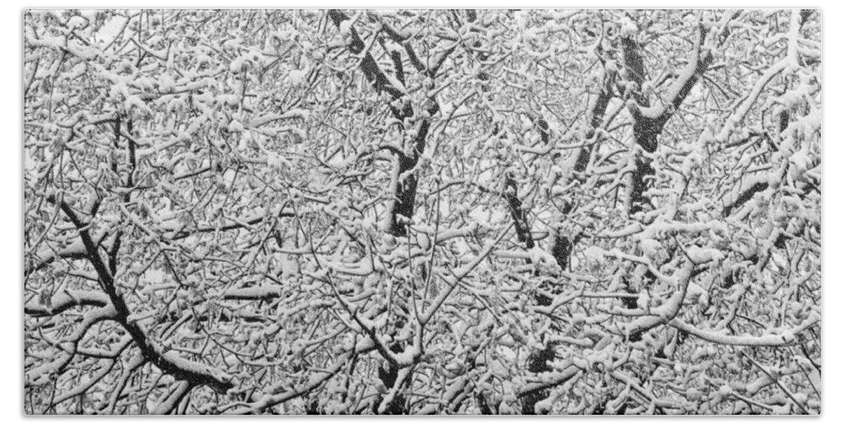Winter Bath Towel featuring the photograph Black and White Snowy Tree Branches Abstract Six by James BO Insogna