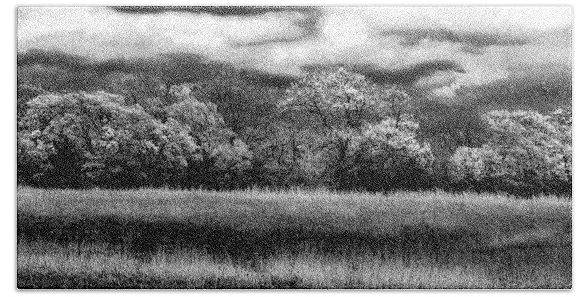 Black And White Trees And Sky Bath Towel featuring the photograph Black and White Trees by Darryl Dalton