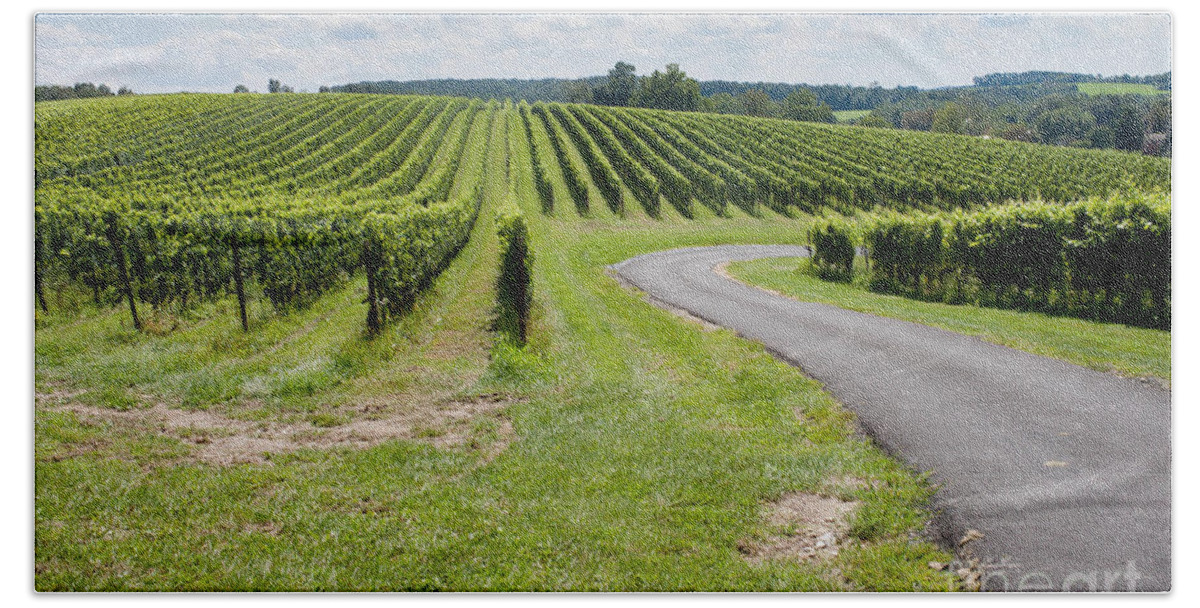 Landscape Bath Towel featuring the photograph Maryland Vinyard in August by Thomas Marchessault