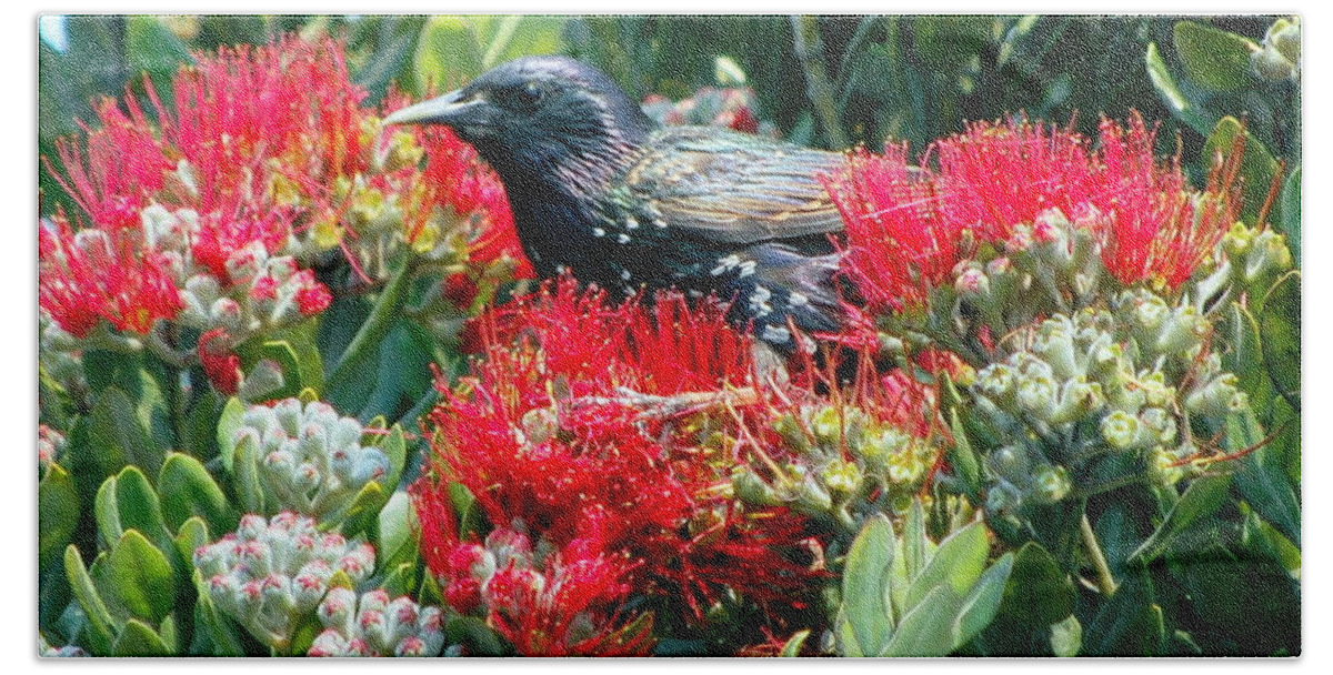 Birds Bath Towel featuring the photograph Black Bird in the Red Flowers by AJ Schibig