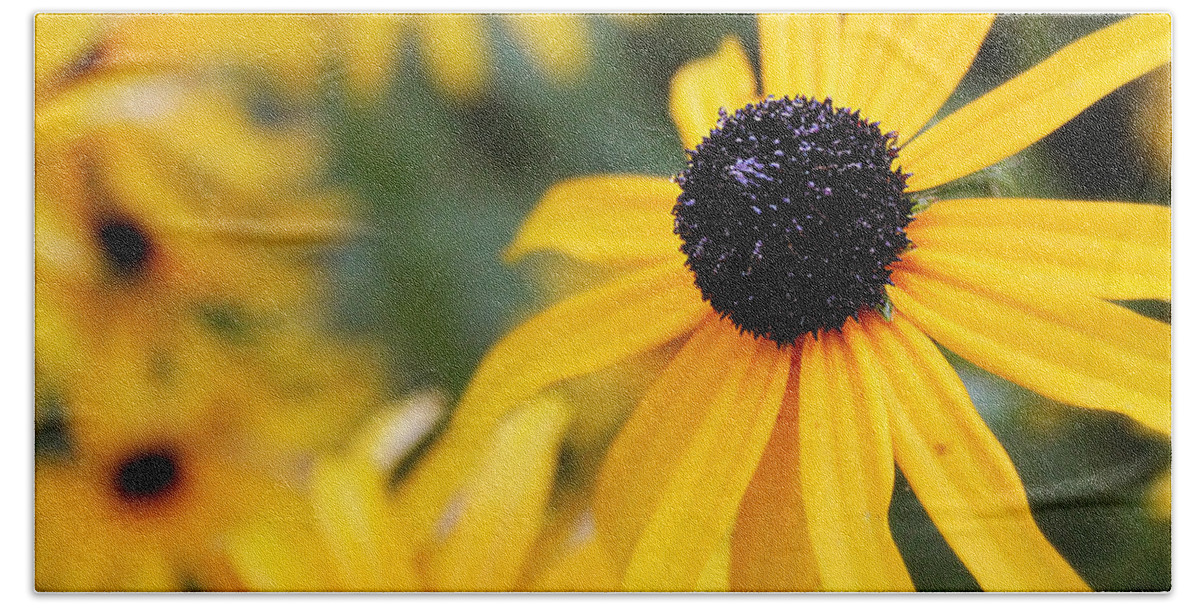 Landscape Hand Towel featuring the photograph Black Eyed Susan by Melissa Petrey