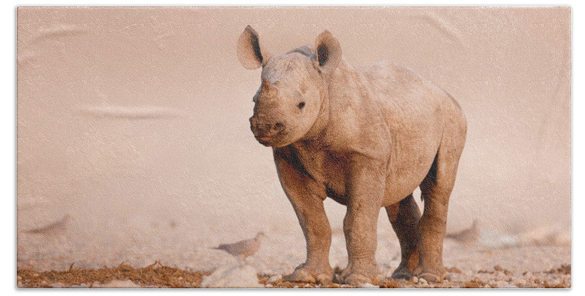 Wild Hand Towel featuring the photograph Black Rhinoceros baby by Johan Swanepoel