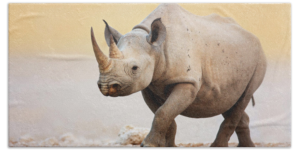 Square-lipped Hand Towel featuring the photograph Black Rhinoceros by Johan Swanepoel