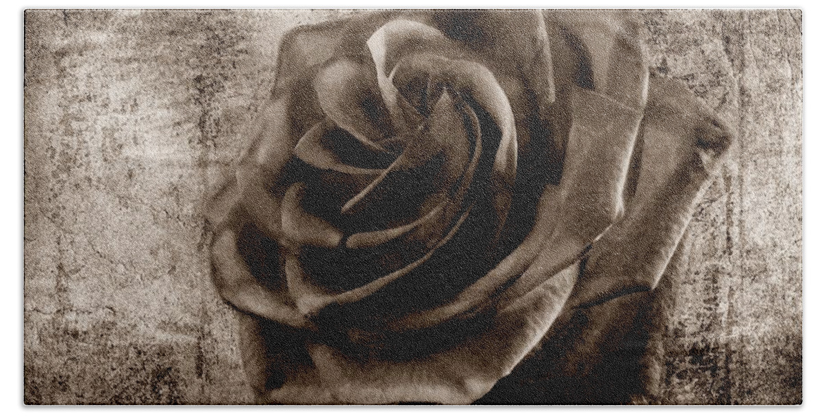 Rose Bath Towel featuring the photograph Black Rose Eternal Sepia by David Dehner