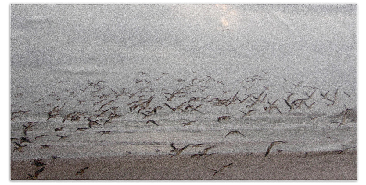 Beach Hand Towel featuring the photograph Black Skimmers on the beach at dawn by Julianne Felton