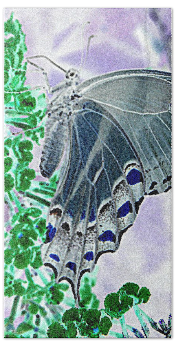 Flower Bath Towel featuring the photograph Black Swallowtail Abstract by Kim Galluzzo